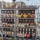 부영농장3 이미지