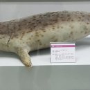 부산해양자연사박물관 이미지