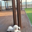 앙쥬레브 부천점 네이버블로그