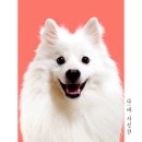 이디야커피칠곡왜관점 이미지