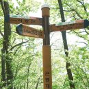 곤룡쉼터 이미지