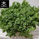 서마농장 네이버블로그