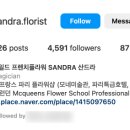 와일드프렌치플라워산드라 이미지