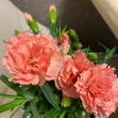 동탄역롯데유창완부동산중개법인(주) 이미지