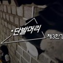 예선기획