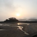 비체싸인 네이버블로그