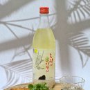 김치 도가 | 호랑이생막걸리 6도 750ml 배혜정도가 내돈내산 쾌지나칭칭나네 흥 up!
