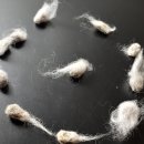 모두모아당구 이미지