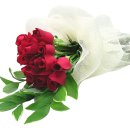 푸른솔 3농장 Daum카페