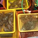 강구시장 이미지