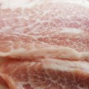 참돈돼지 이미지