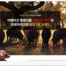 삼백인력 이미지