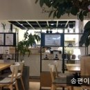 비움(Beum)