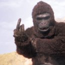 킹콩 이미지