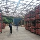 팔봉산영농조합법인 이미지