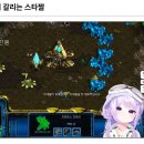 스타 Daum카페