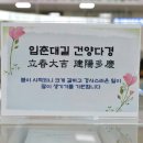 강화군청 이미지