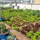 실버간호주간보호센타 이미지