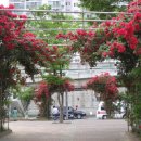 산본고가 삼거리 이미지