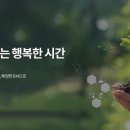 로하스에버 이미지