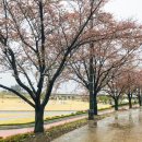 군민체육공원 이미지