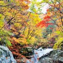 Colors of Korea 이미지