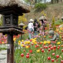 한그루인주