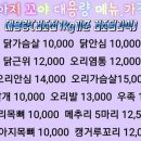 꼬야애견 이미지