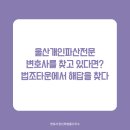 변호사정선희법률사무소 이미지