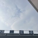 굳수 | 망향비빔국수 (비빔굳수 / 잔치국수 / 만두) 후기