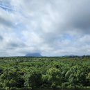 제주항공우주호텔 이미지