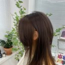 김선생쌀롱
