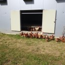 이든농장 이미지