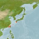 어류도감 이미지