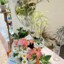 💐 대전 꽃집, 가든드플라워에서 꼬깔 꽃다발 &amp; 미니 트리 득템! 🎁