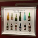 개들의성 | 신혼여행 잘츠부르크 호엔잘츠부르성 슈니첼맛집 스티글양조장 다녀온 후기