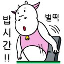 얌샘김밥울산