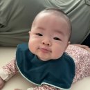 폰153