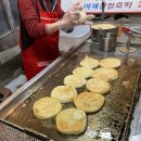 광장26호 티스토리