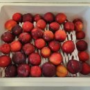 호준농장2 이미지