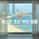 신세계조선호텔 부산 | 웨스틴 조선 호텔 부산 이그제큐티브 객실 후기 (혜택, 부대시설 정보)