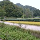 가마실마을 이미지