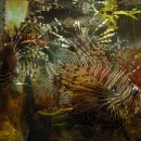 부산해양박물관 이미지