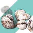 주식회사 팜2팜 이미지