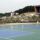 월드컵빌리지 축구장 천연 이미지