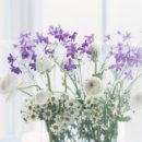 보건안경콘택트 이미지