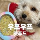 전주류씨 시사재 | 강아지수제간식 고민된다면? 우프우프펫푸드 영양간식 직접 급여해본 후기