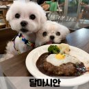 냠냠펫푸드 이미지