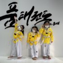 이천 품 성인태권도장 이미지