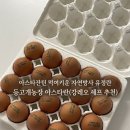 꼬꼬농장 | 달걀 🥚 추천] 아스타란 명품 유정란, 등고개농장 🐔 난각번호1번 자연방사 달걀 후기❗️(강레오 셰프 추천 ✅)